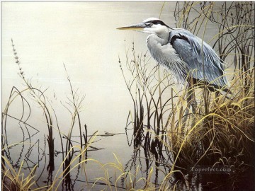 bird in grass near water Oil Paintings